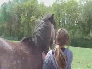 RAMSES TRAVAIL AU PRE - 27/04/2009