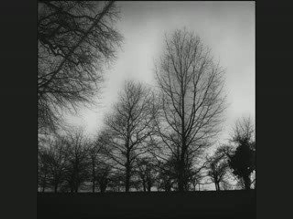 Sourate Al-jinn - Les djinns