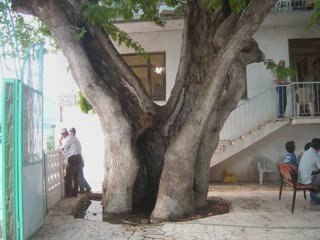 bilecik genel kareler