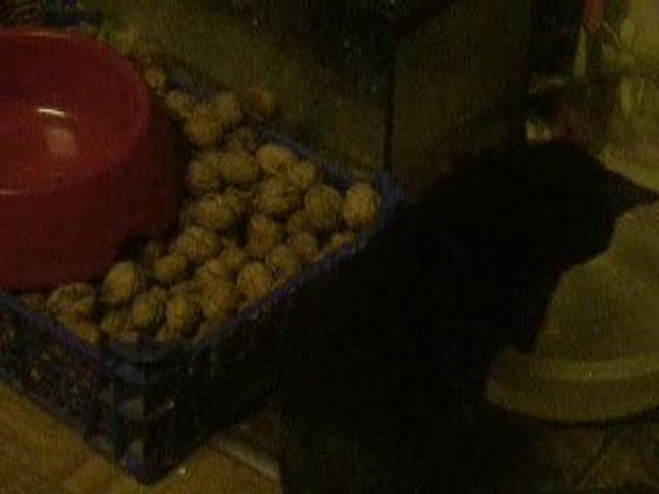 orage joue avec l'eau