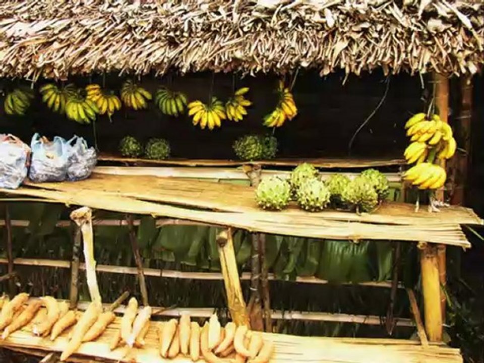 Jaoranary d'Abdou Day (Diapo vacs)