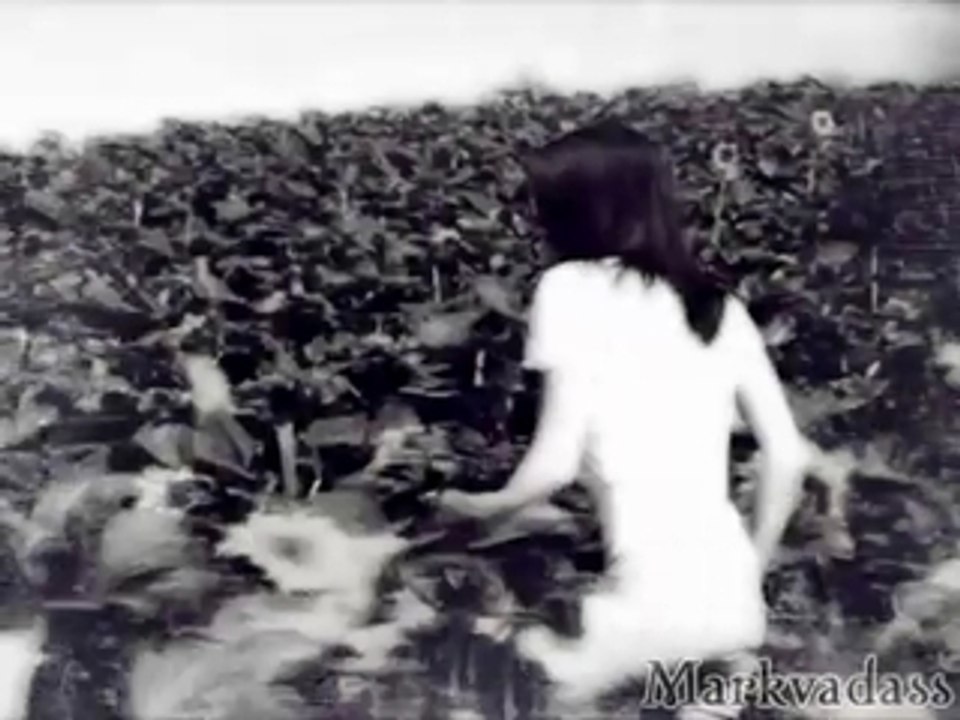 new moon trailer fan made