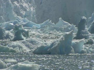 Climate change scientist slams emissions targets