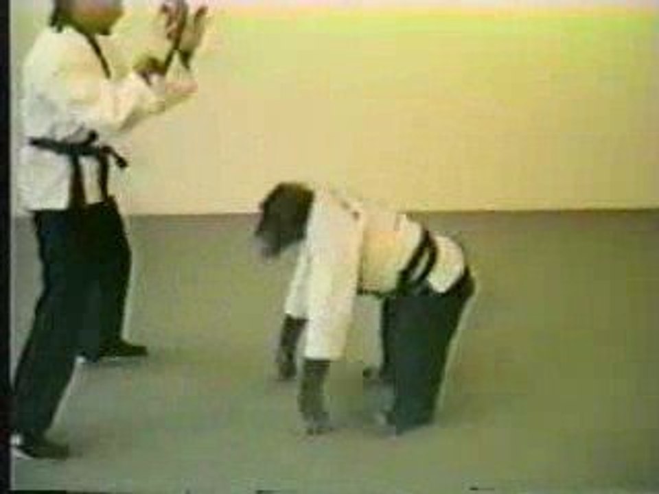 Macaco lutando Kung Fu