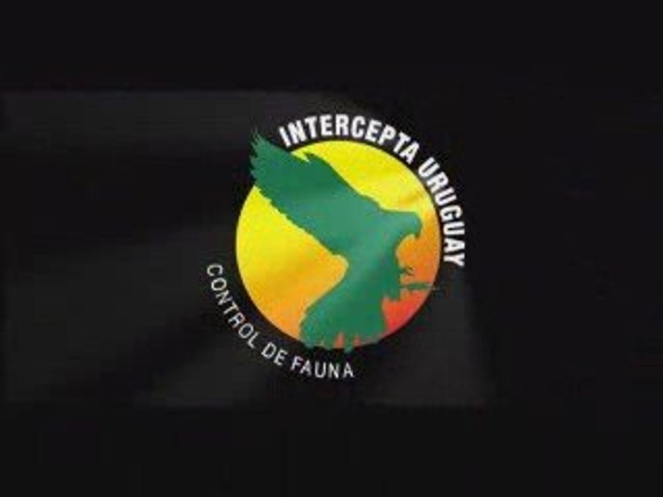 Intercepta uruguay