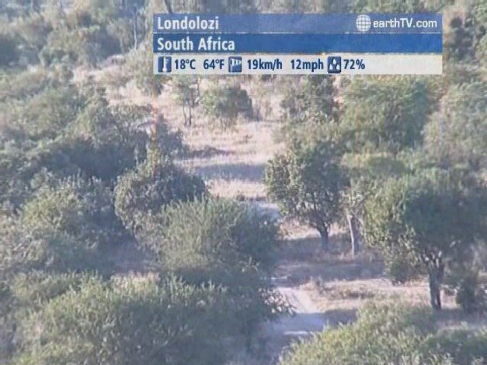 Antalya - Turkey, Warsaw - Poland, Dusseldorf - Germany, Engelberg - Titlis - Switzerland, Londolozi - South Africa, Dolomites - Italy, Berlin - Germany