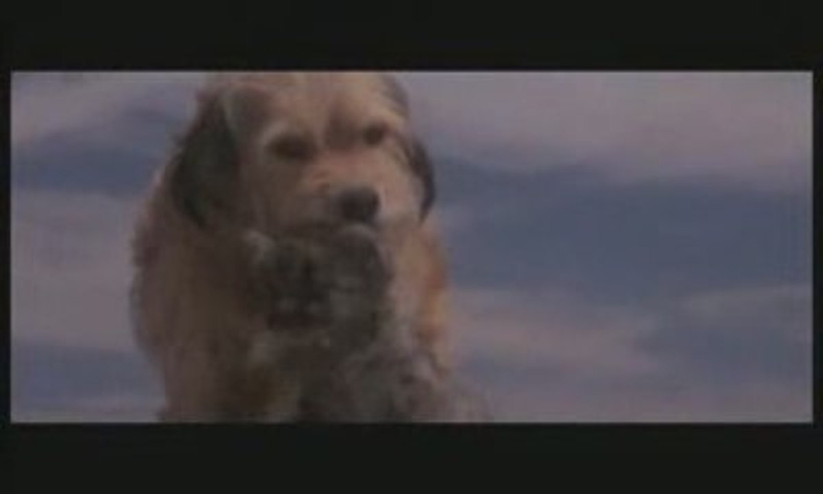 Benji la Malice fin du film