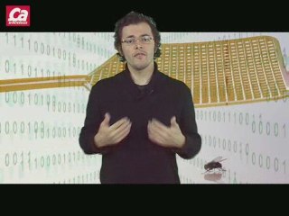 Comment devient-on le roi de la tapette à mouches?