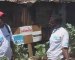 Agriculture en sacs dans les bidonvilles de Nairobi