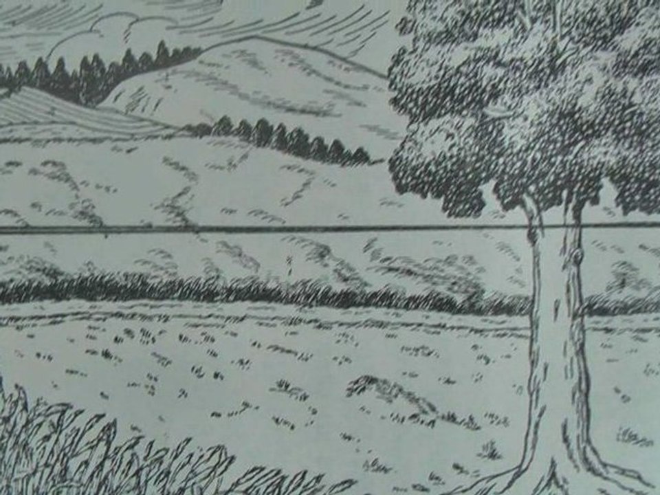 Stéréoscopie
