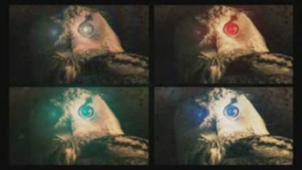 a funny owl is spitting !