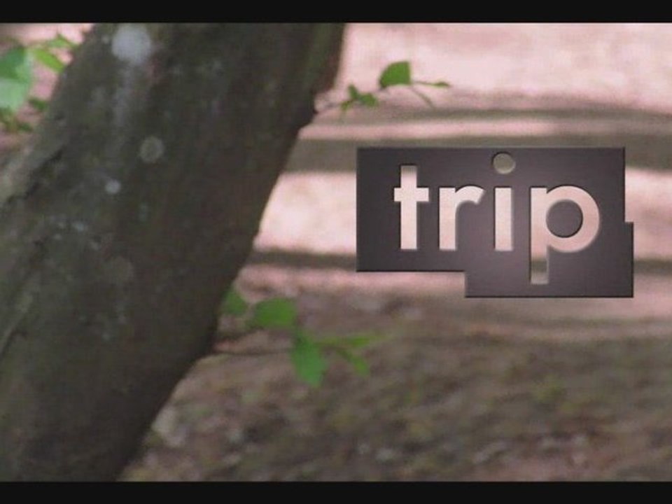 Trip