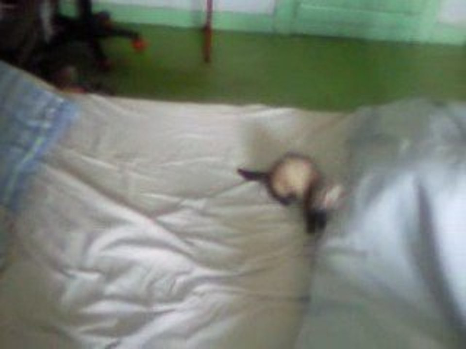 Vidéo0021