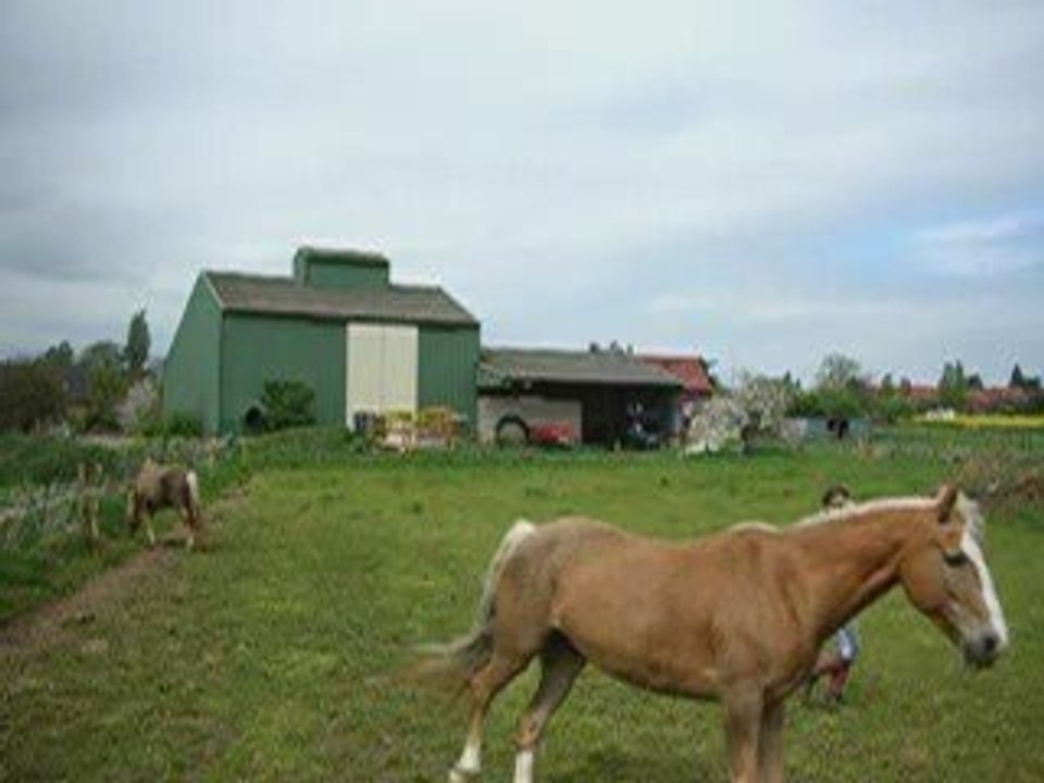 petite seance betises !!