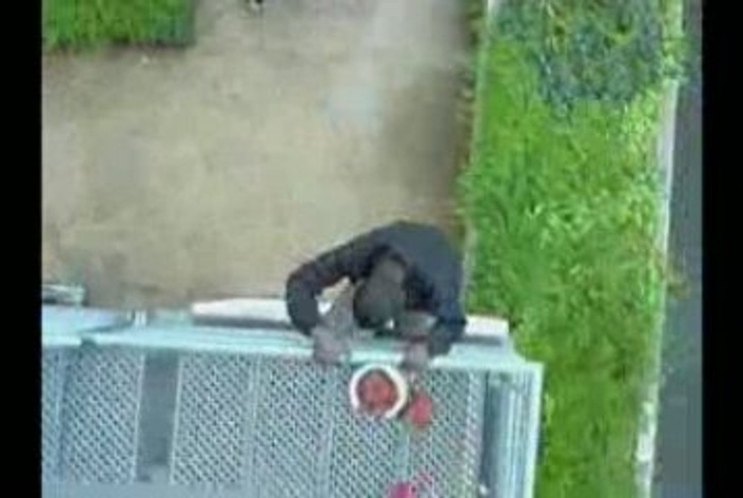NOUS EN moDE lilGAng