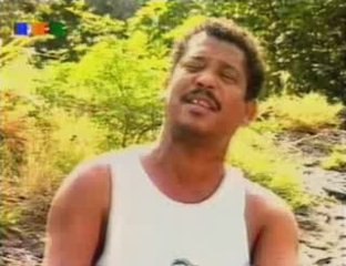 Mauritus Island - Cassiya - pâquerette île Maurice