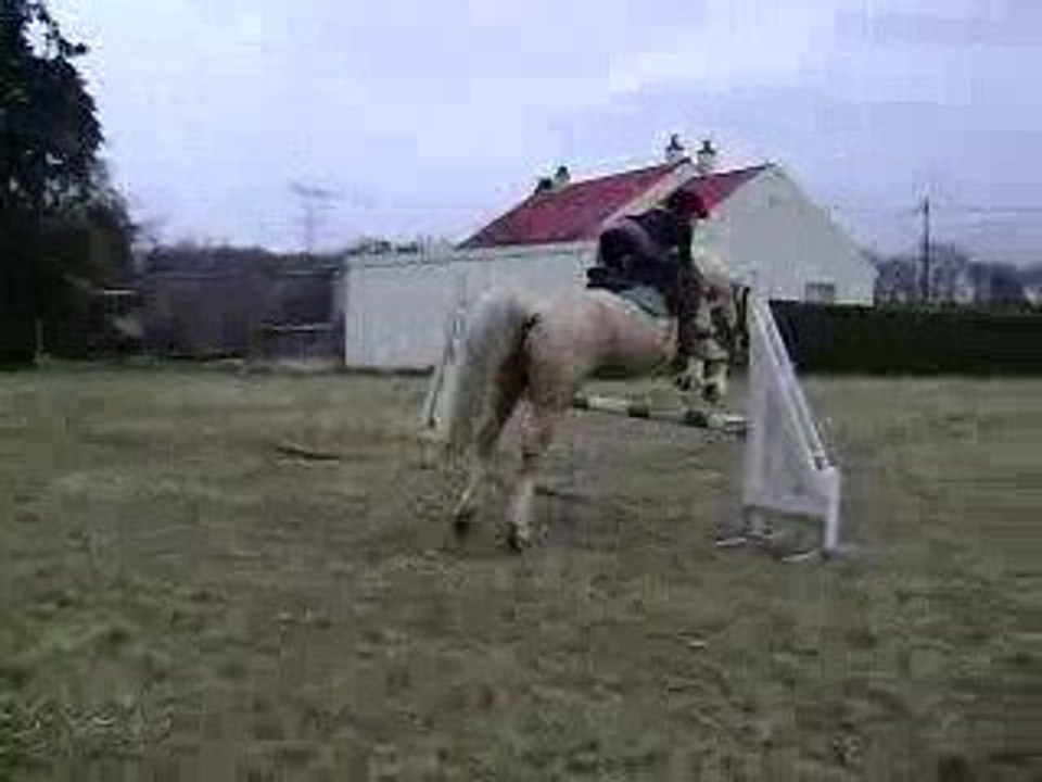 Photos Jeudi 13 mars 061