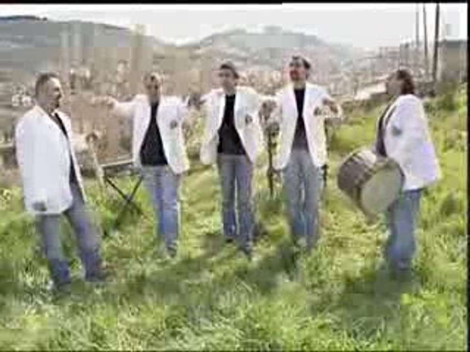 Grup kül-narino