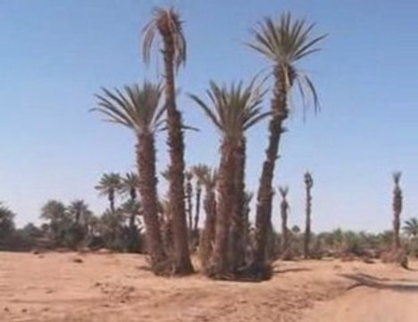 Maroc 2009 m'hamid-zagora-adgz