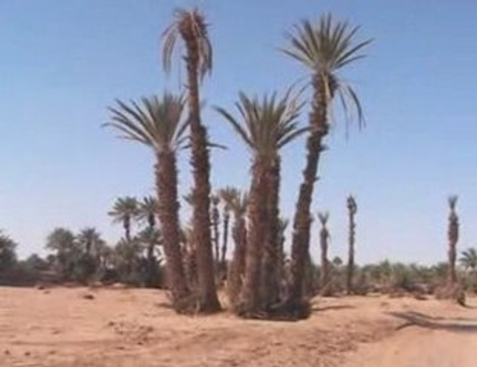 Maroc 2009 m'hamid-zagora-adgz