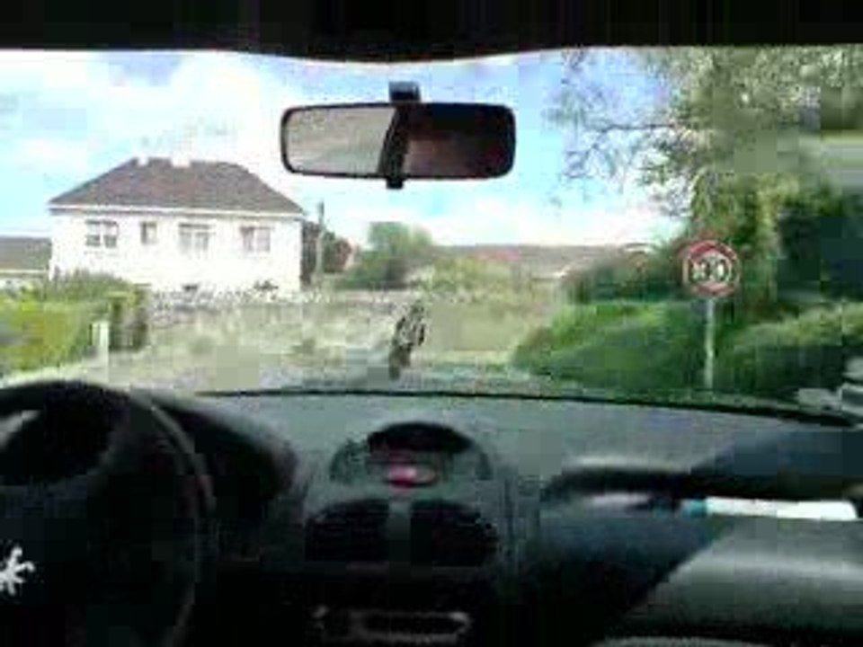 rs2 matrix top rose accel