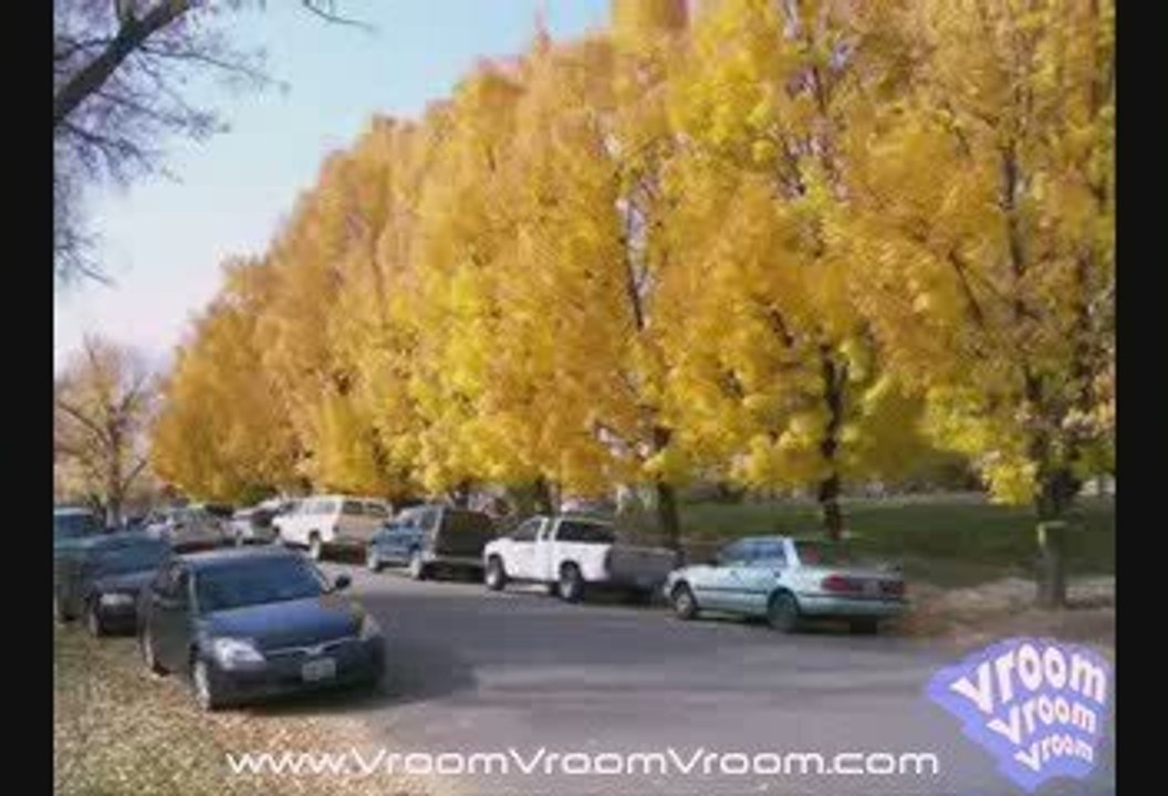 Carson city, California - Travel Guide and Site Scenes