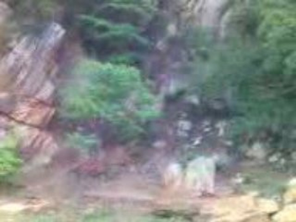 Clip(7)