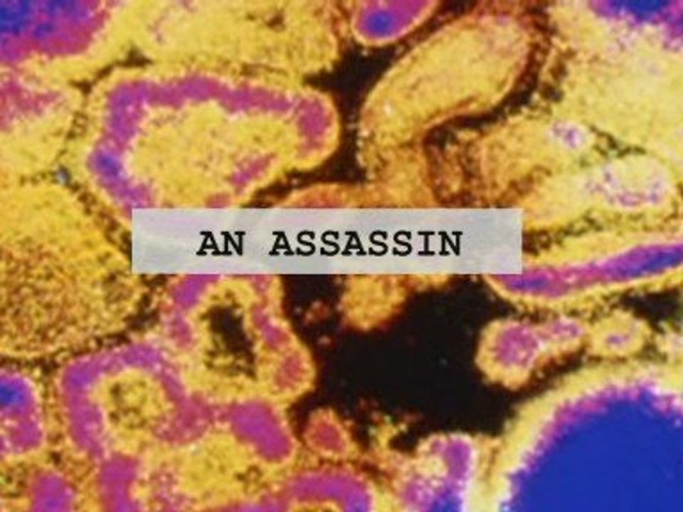 Swine flu conspiracy theories