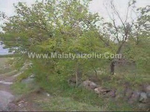 Malatya Kale izollu Yemyeşil Bahar Videosu