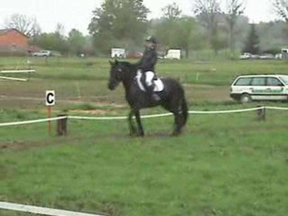 Aurélie dressage