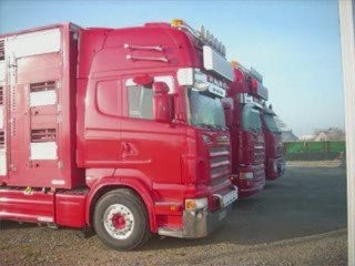 scania Transport loret