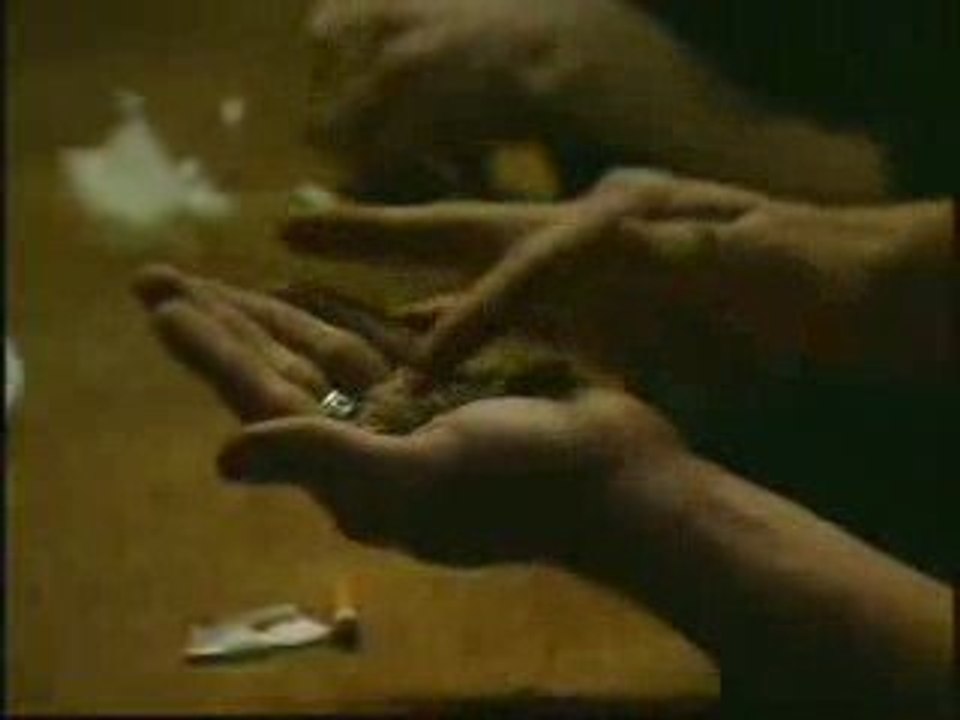 Cannabis Cup in France