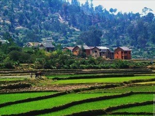 Fanja de Rakoto Frah