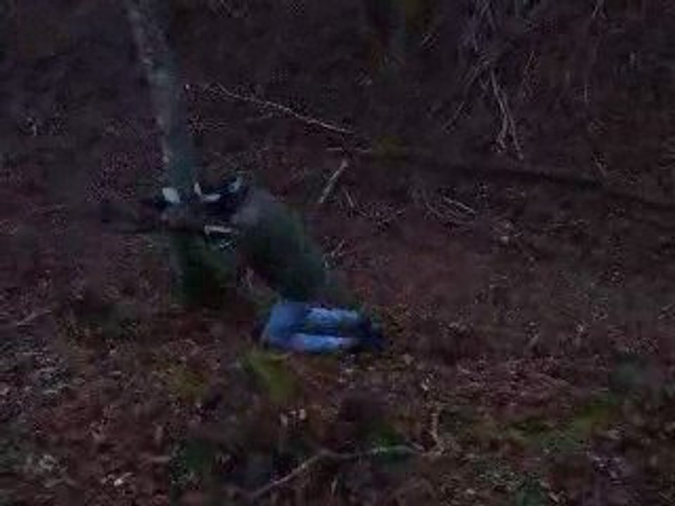 Paintball 1er janvier