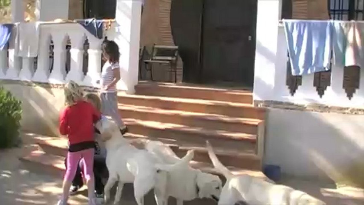 Kedada2