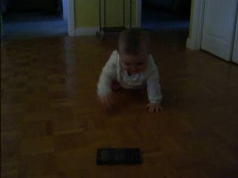 quatre pattes de kim