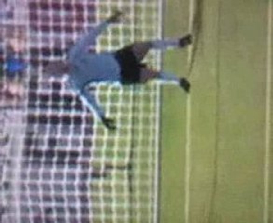 dudek
