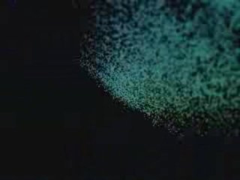 IBIZA ( Amnesia RemiX 2009 ) by French Club techno electro d