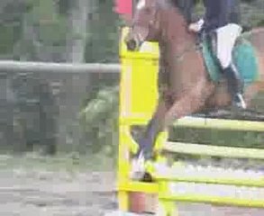 Horus-Stéphane Zance