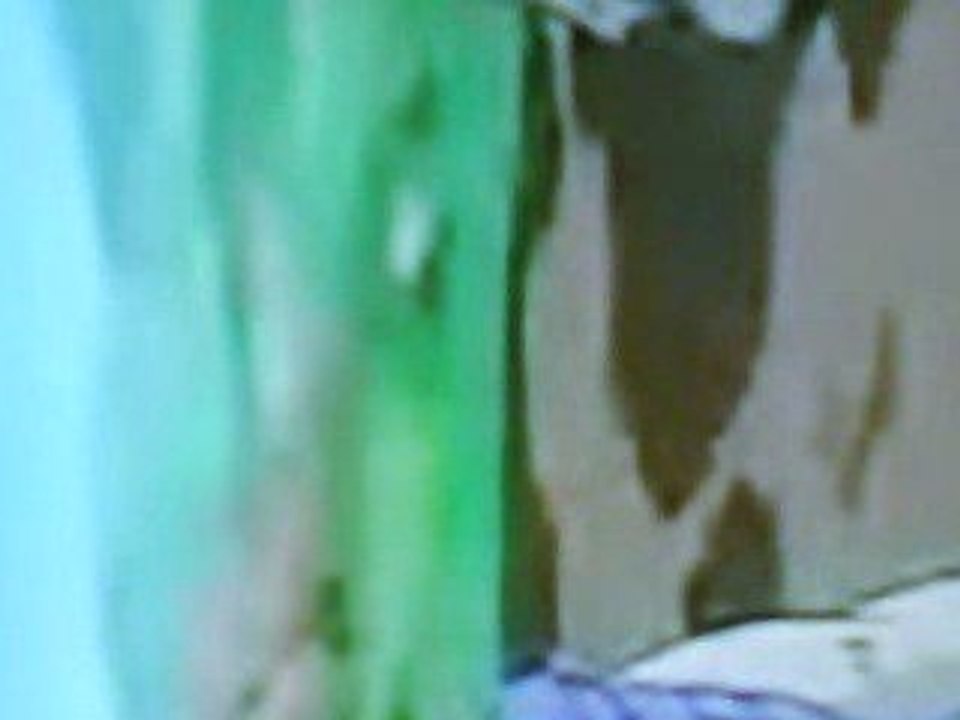MOV00097