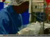 Laboratorios que venden medicina para la gripe porcina