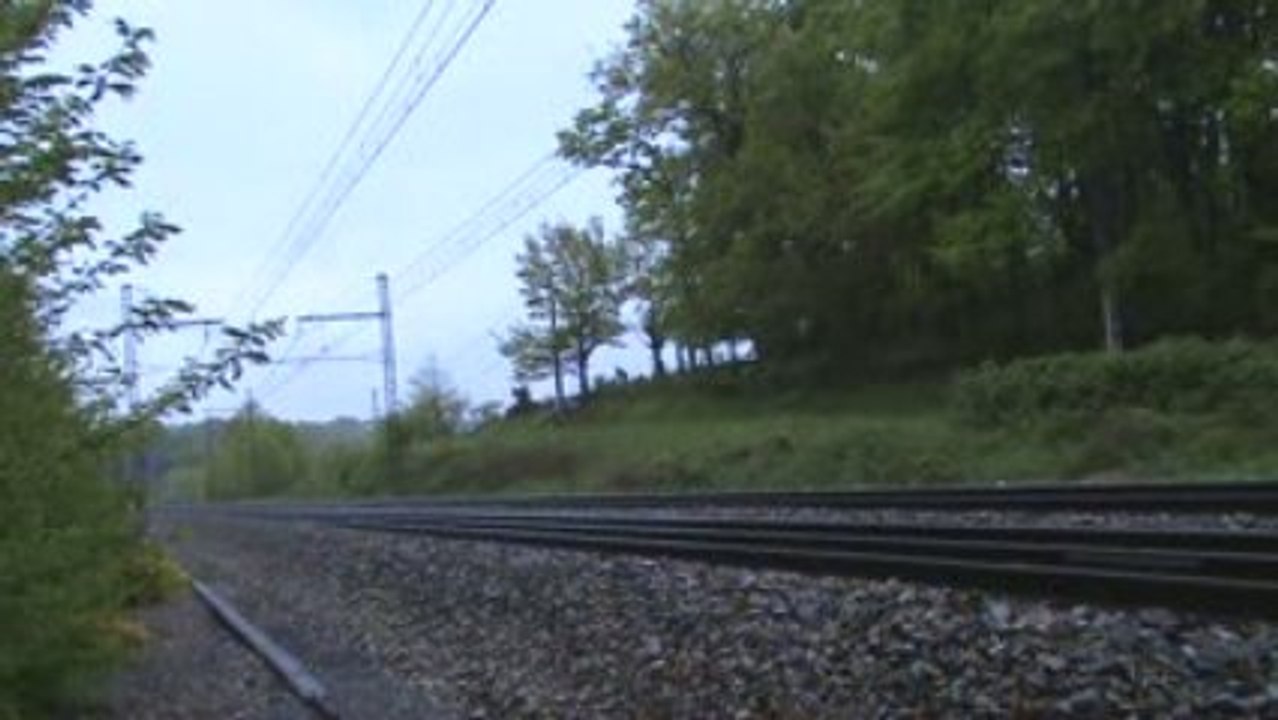 Croisement Corail Teoz 3651 & Pelerin