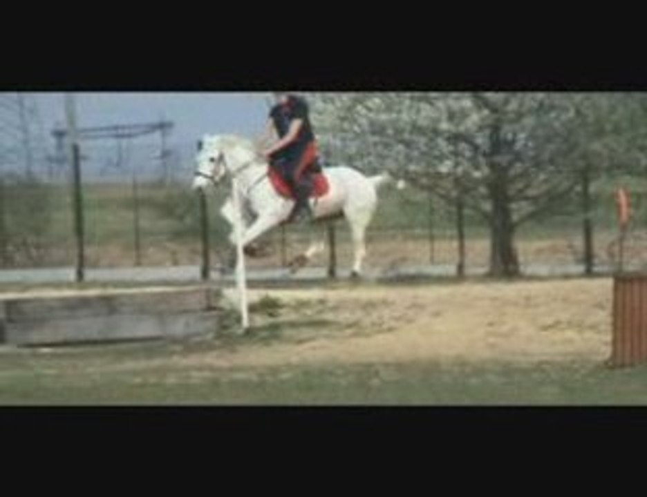 Cross Jablines Ornella