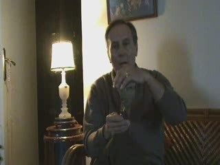 Grippe porcine 1 JM Vernochet