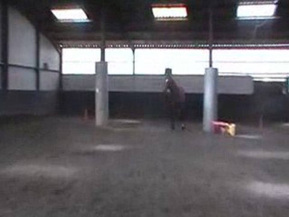 Speedy Thémis