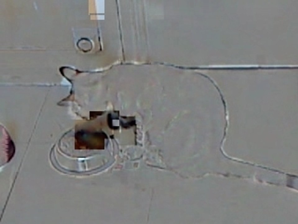 MOV00085