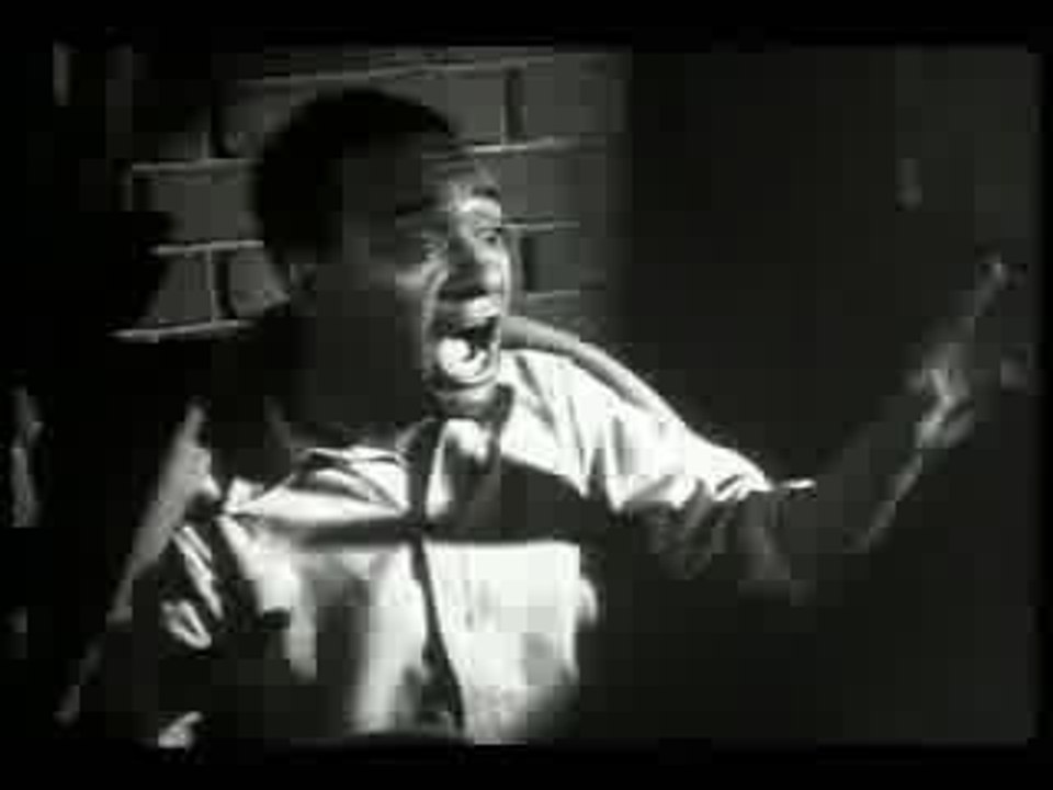 Butthole Surfers  ~  The Lord Is A Monkey...