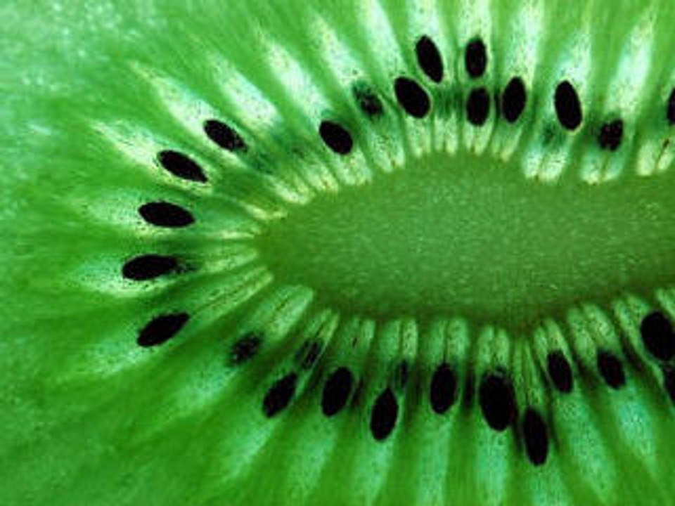 Alerte au Kiwi pour le 8 août