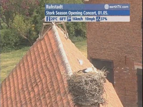 Ascona - Ticino - Switzerland, Dolomites, Corvara - Italy, Auckland - New Zealand, Paris - France, Ruhstadt - Germany, Dusseldorf - Germany, Warsaw - Poland