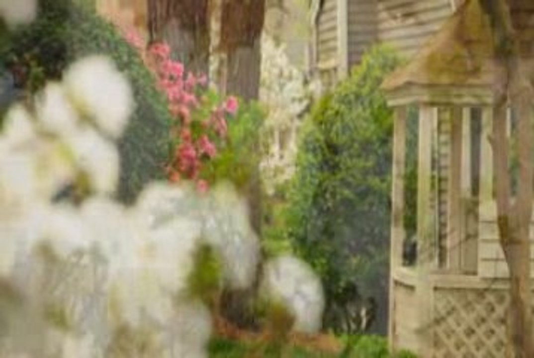 Sentinel Drive-Vimeo SD square pixel